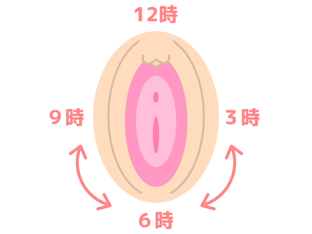 labia_majora__illustration